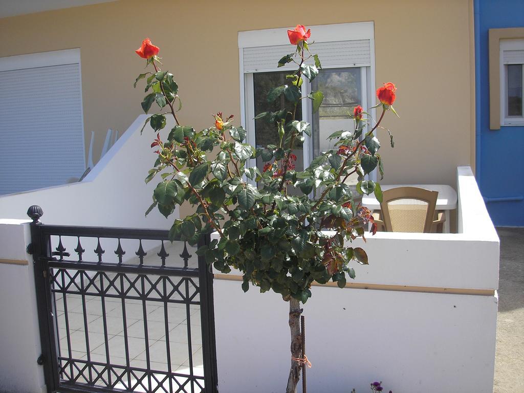 Nephele Apartments Faliraki Exterior foto